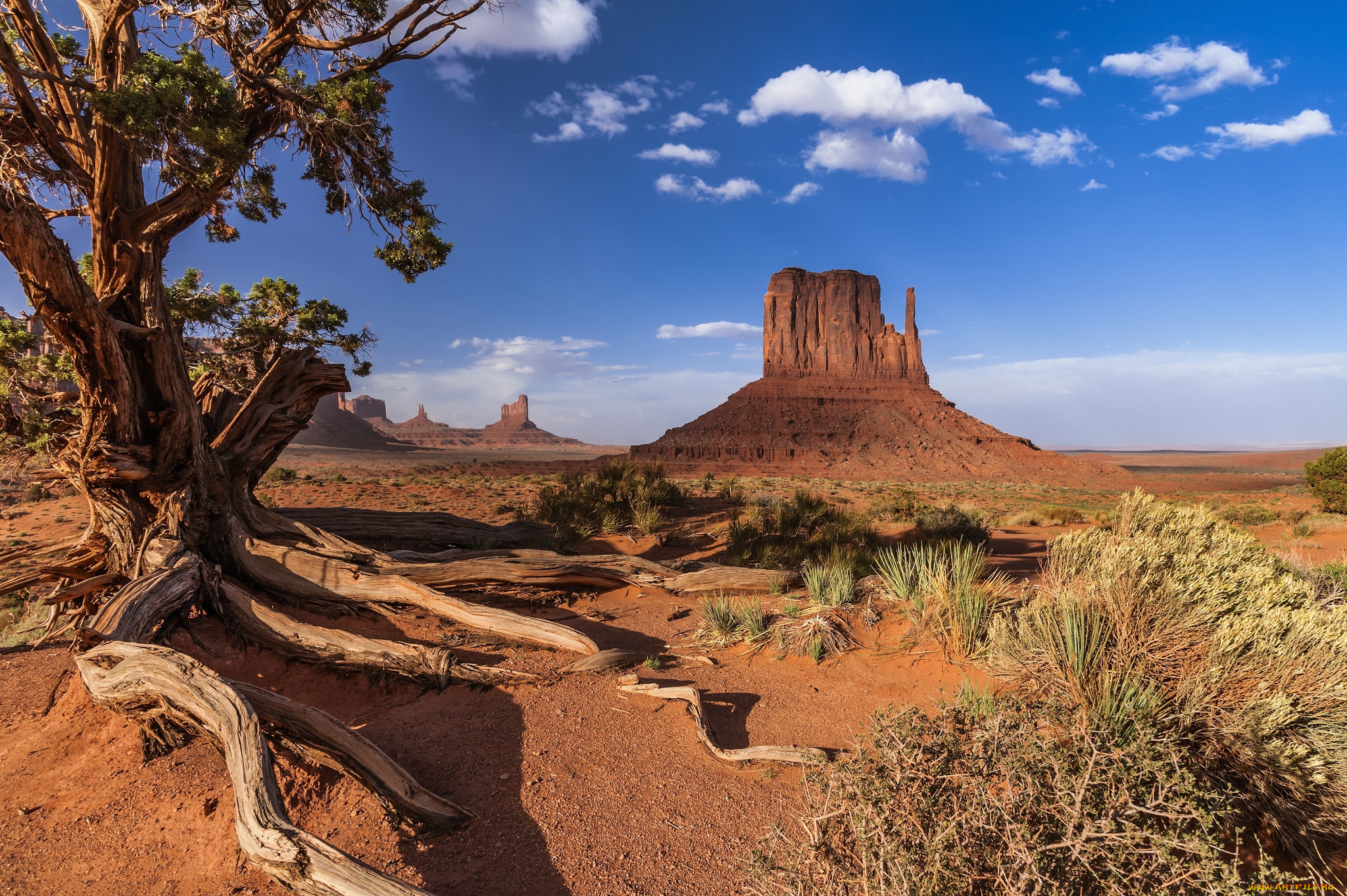 Arizona desert. Долина монументов (штат Аризона). Долина монументов, штат Юта, США. Штат Юта Долина монументов. Долина монументов Юта США.